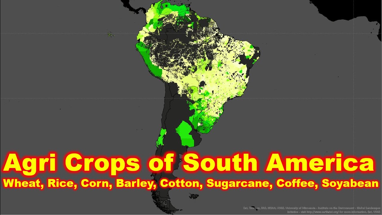 Agriculture Crops of South America: Wheat, Rice, Corn, Barley, Cotton, Sugarcane, Coffee, Soybean