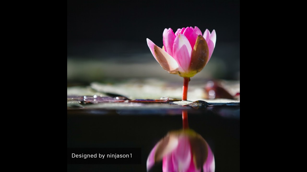 Heal from the Inside Out Series #36: My mama told me, 