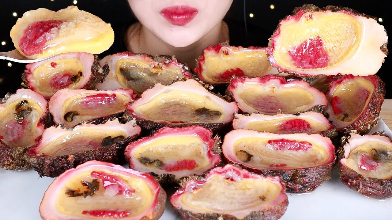 특대 돌멍게..Stone sea squirt
