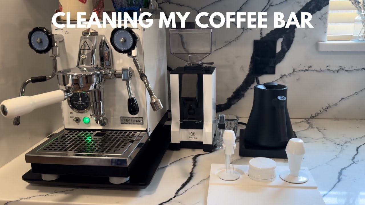 Cleaning my coffee bar | Silent Vlog | Profitec Pro 400 | Cortado
