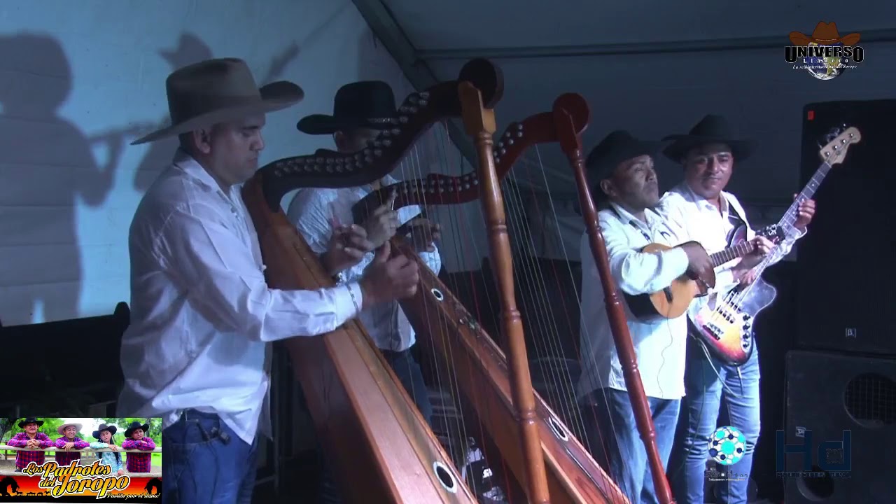 Jorge Guerrero en Vivo   De nuevo en el Arpa