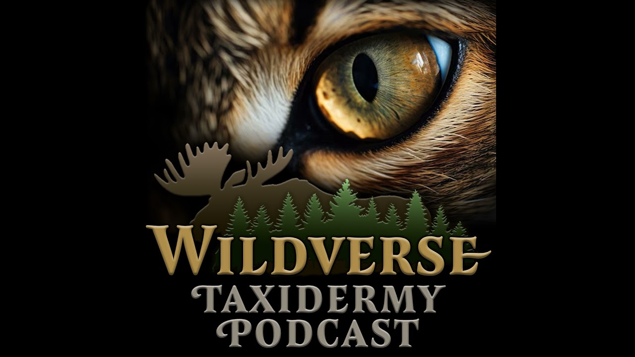 Episode 1 - Meet your Hosts!