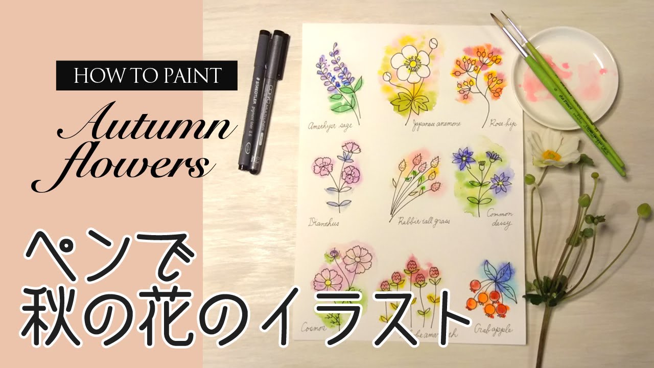 黒ペンでイラストの描き方【秋の花編】手帳やバレットジャーナルにも使える９パターンを水彩で色付け／How to draw autumn flowers with a pen