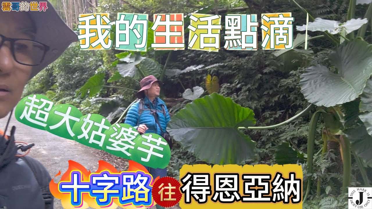 得恩亞納健走---從18號公路(阿里山公路)十字路往得恩亞納的徒步記錄..........