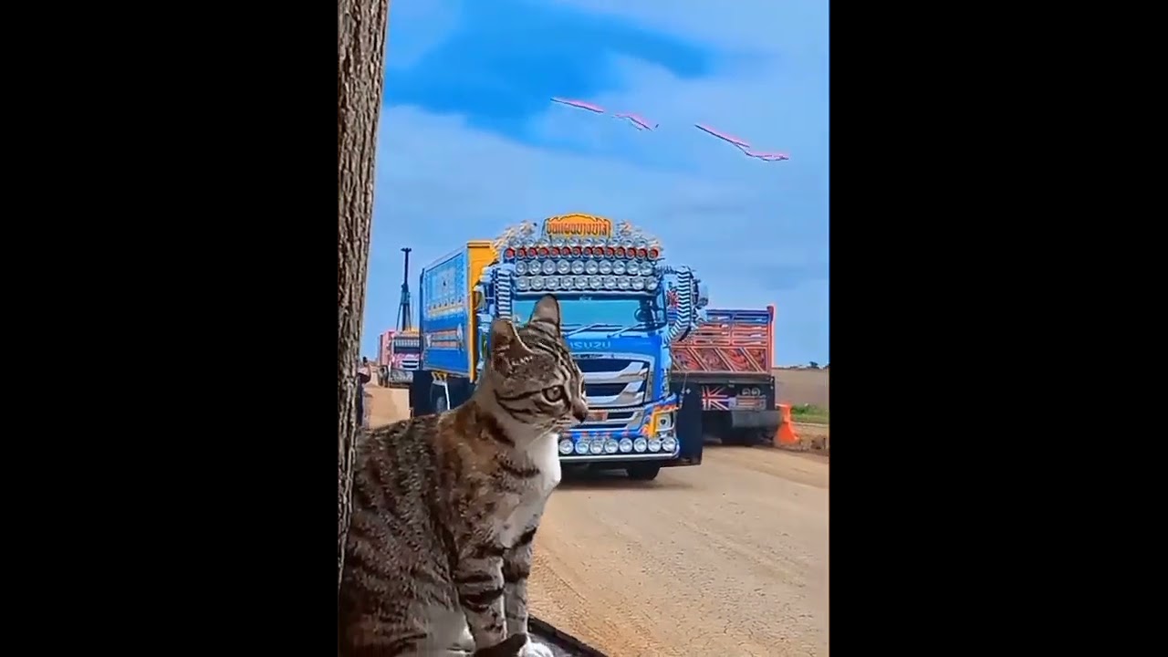 Truck Blasts Horn - Cat Jumps - LOL - 555 #truck #horn #cat #cats #lol #555 #shorts #short