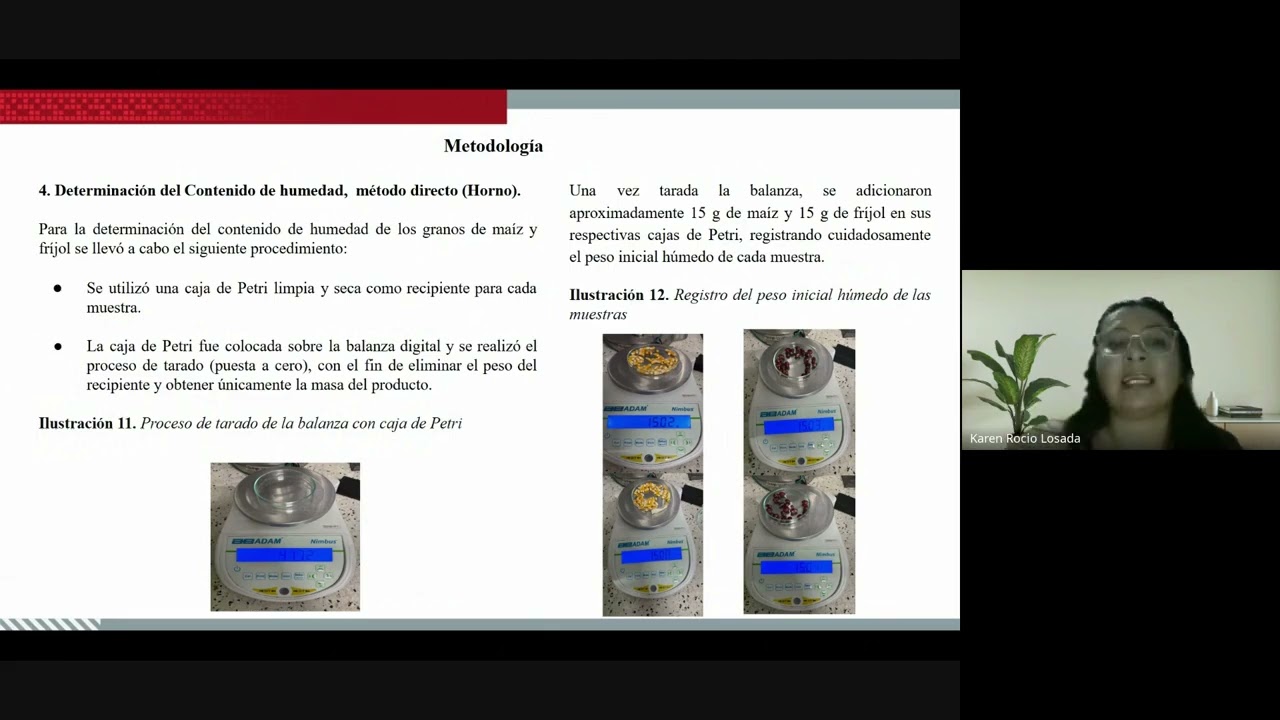 Informe laboratorio morfología de granos