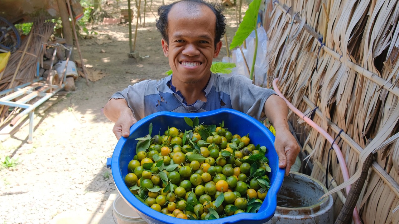 Mr 99cm harvests ripe kumquats for sale - Mr 99cm Kindness