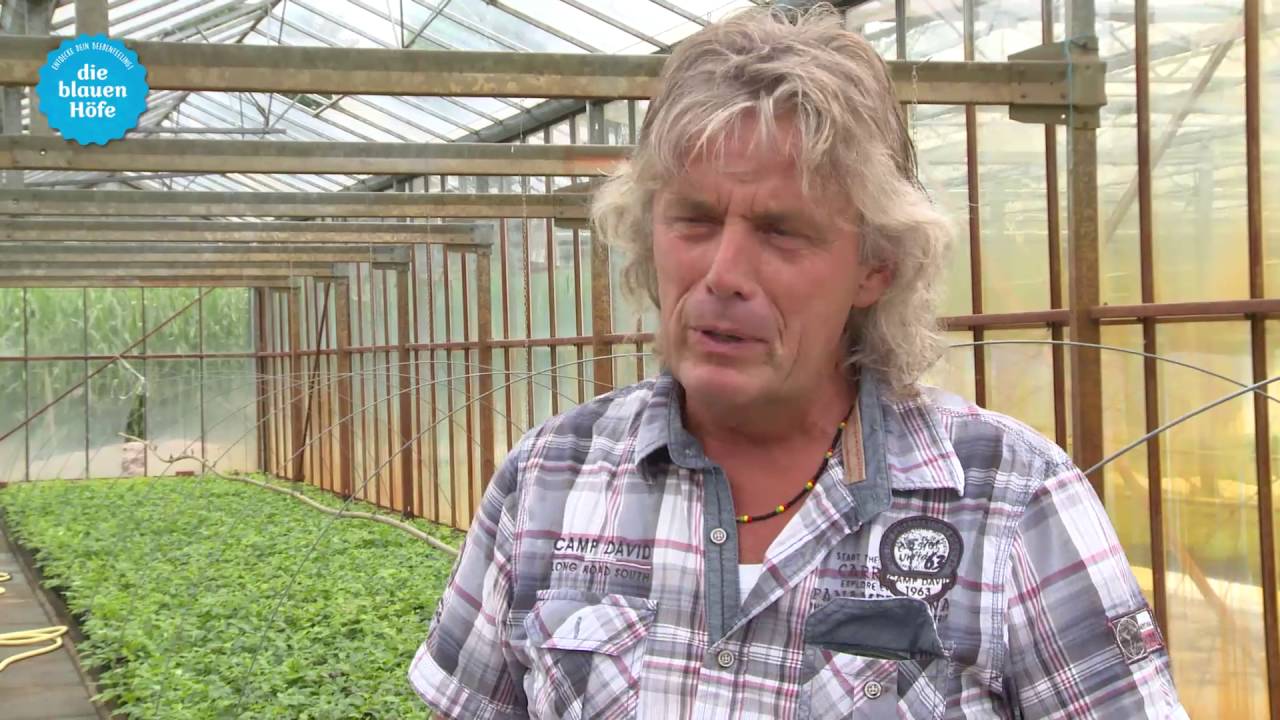 Die blauen Höfe - Heidelbeeren aus Niedersachsen