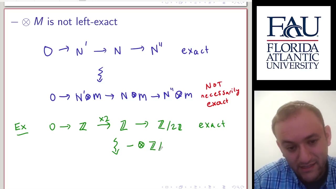 Flat Modules (Commutative Algebra 10)