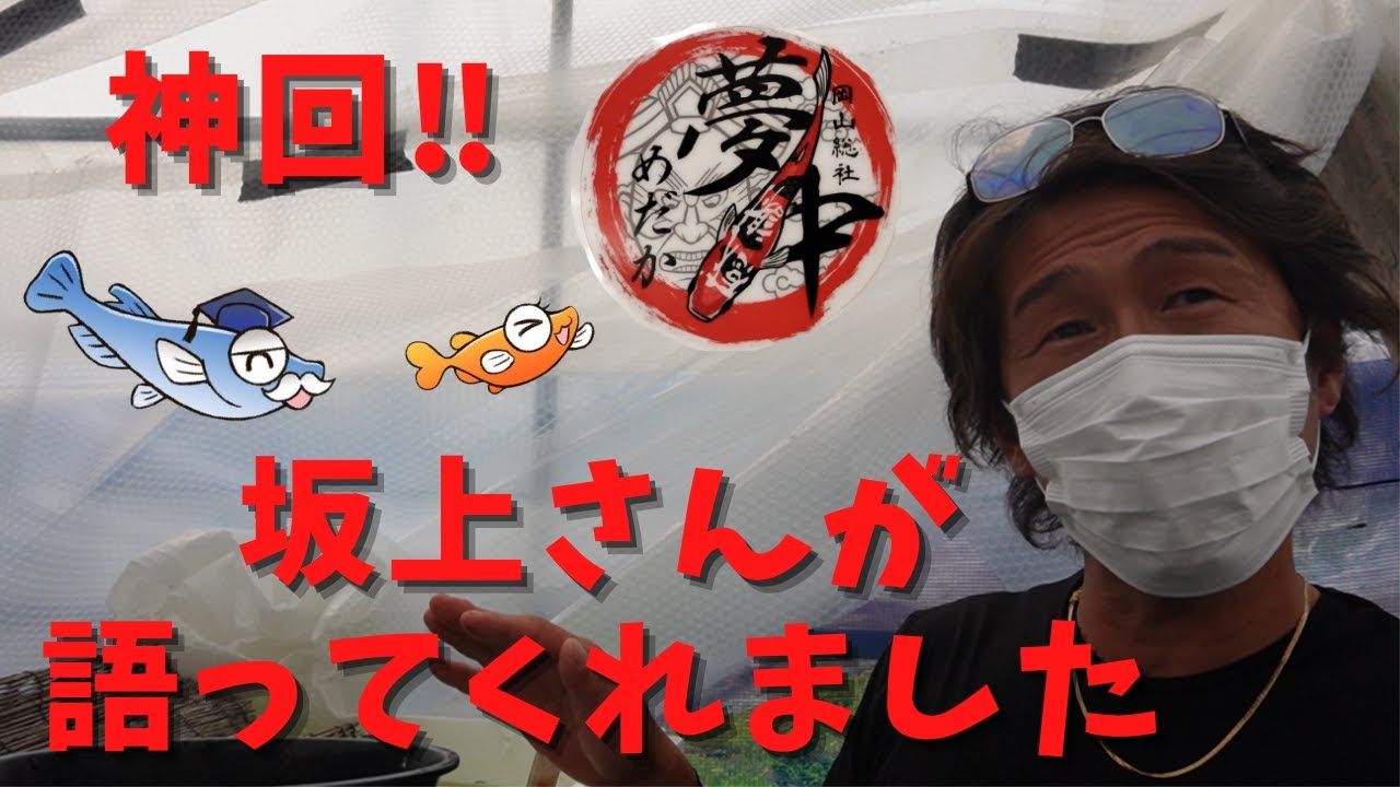 【永久保存版！】夢中メダカ　前編