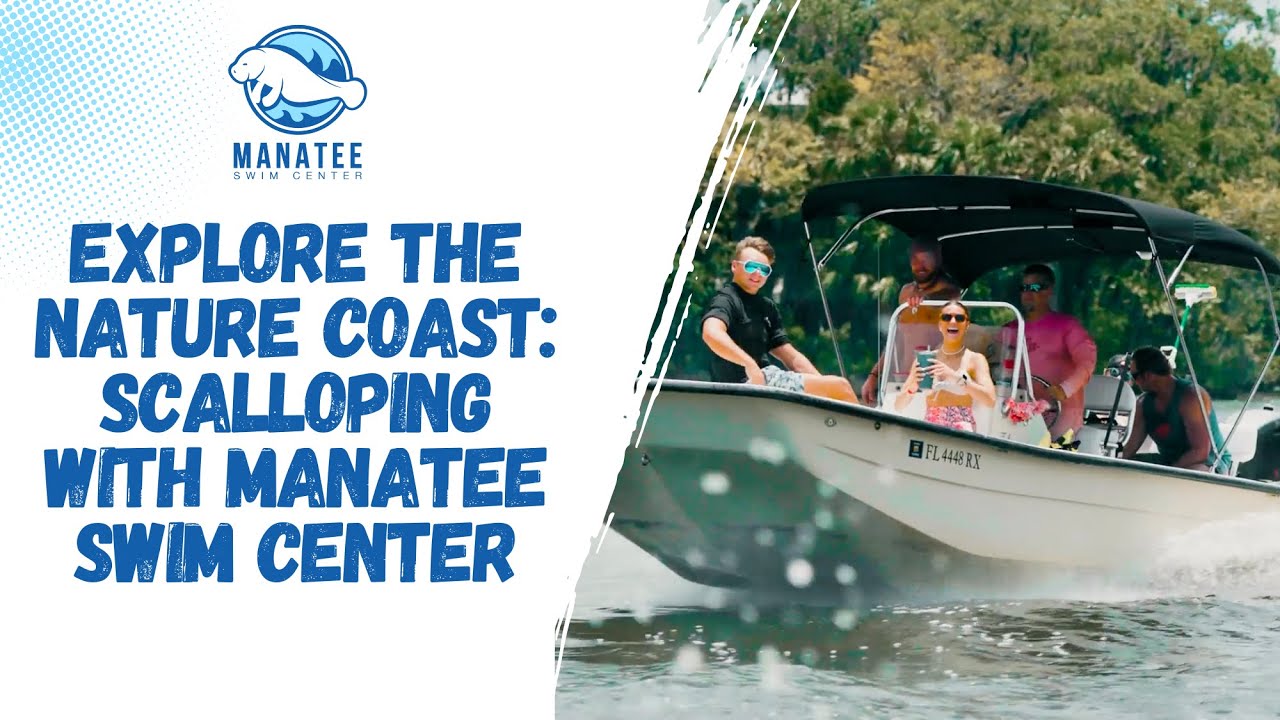 Explore the Nature Coast: Scalloping with Manatee Swim Center | Manatee Swim Center