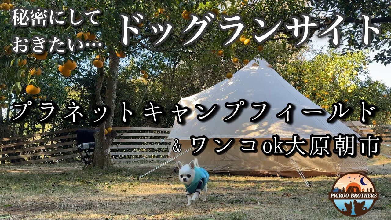 寒波の強風も熊も心配ナシ!朝市調達品でサクッと【犬連れ夫婦キャンプ】密かに人気の【プラネットキャンプフィールド】