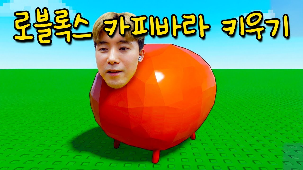 로블록스 카피바라 키우기를 해보았습니다!!!