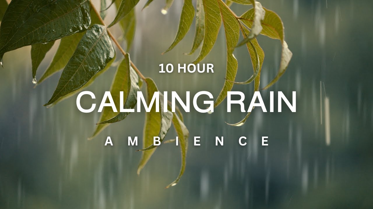 10 Hour | Cozy Window Rain Ambiance: Perfect for Sleep, Study & Meditation | November 2025