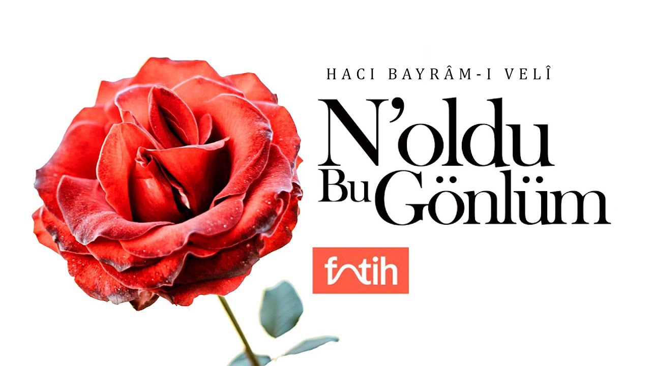 N'OLDU BU G&Ouml;NL&Uuml;M (