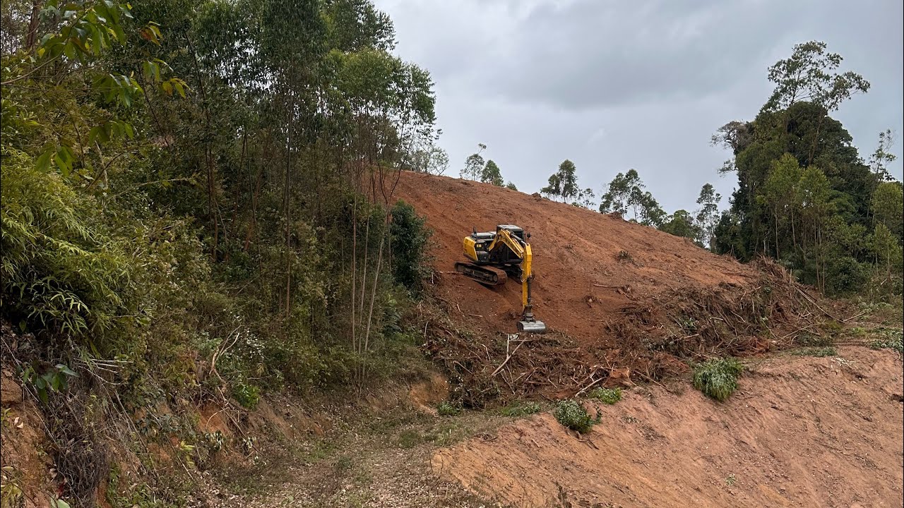 Destoca em morro muito íngrime com escavadeira, 🚨 muita cautela…