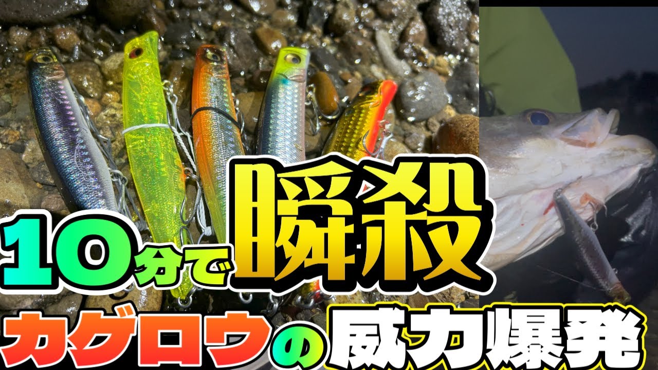 【シーバス】【前編】最高の釣果と思い出！メガバス.カゲロウのお陰で存分に楽しめた！