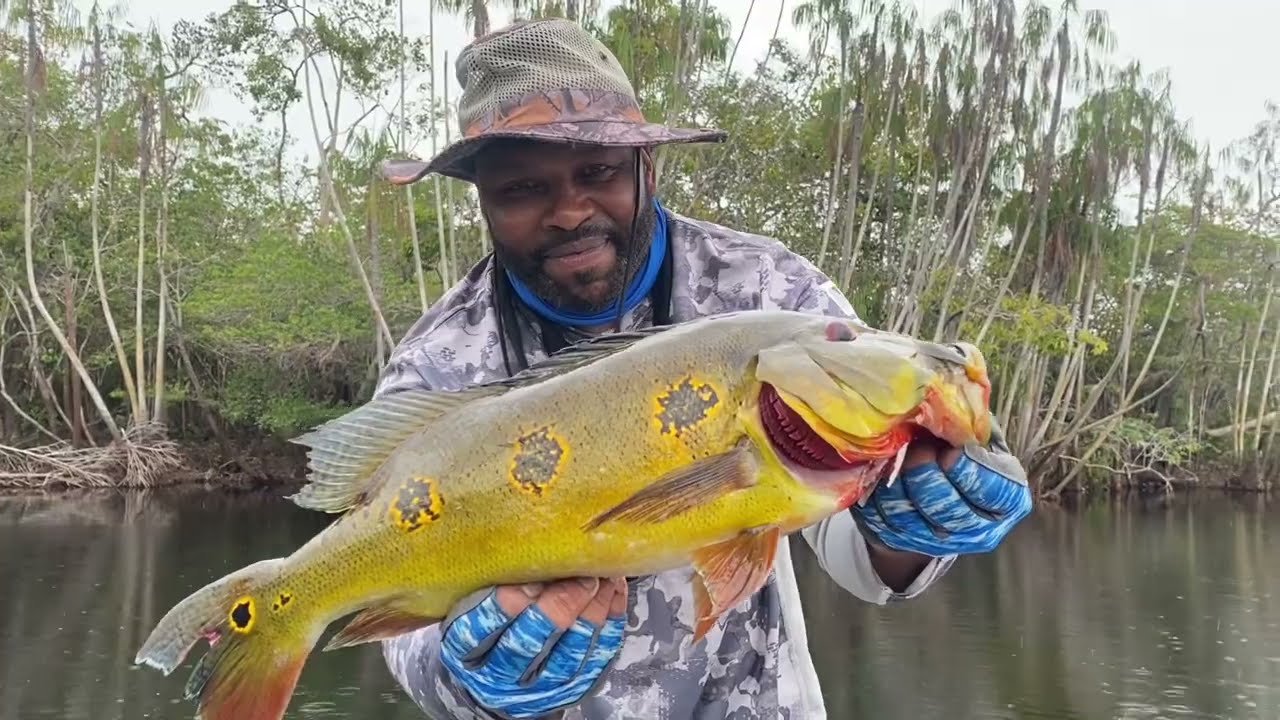 Matupiri River - A trip to Brazil