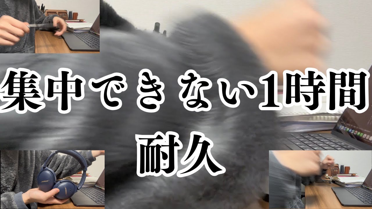 【勉強動画】集中力30000なフクロウの実態【社会勉強動画】