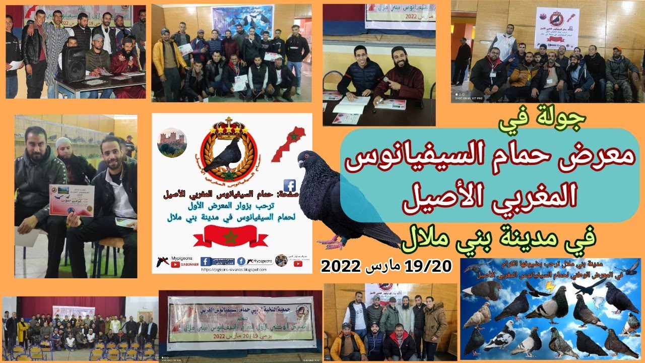 جولة في أول معرض لحمام السيفيانوس المغربي الأصيل في تاريخ مدينة بني ملال 🏰