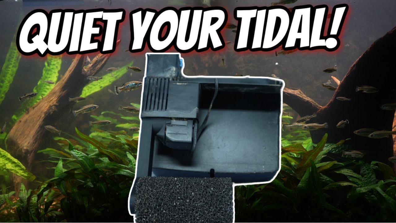 Save Your Fry & Quiet Your Filter!  Aquarium Co-Op Easy Seachem Tidal Optimizer Review!