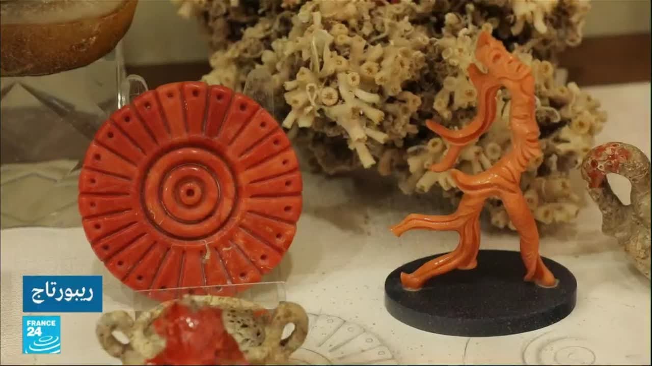 المرجان الأحمر... ذهب جزيرة سردينيا الإيطالية • فرانس 24 / FRANCE 24