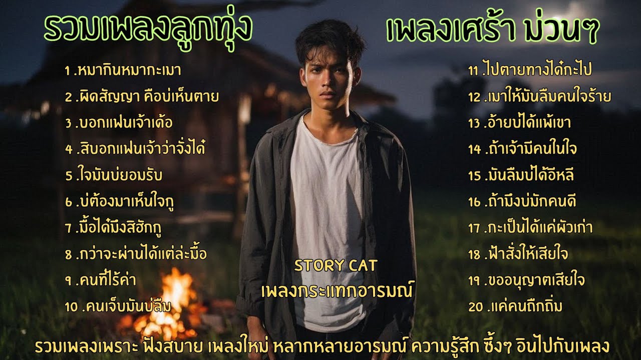 รวมเพลงลูกทุ่งเพราะ เพลงเศร้า เพลงม่วน ๆ กระแทกอารมณ์ เปลืองเหล้าคัก : Story cat