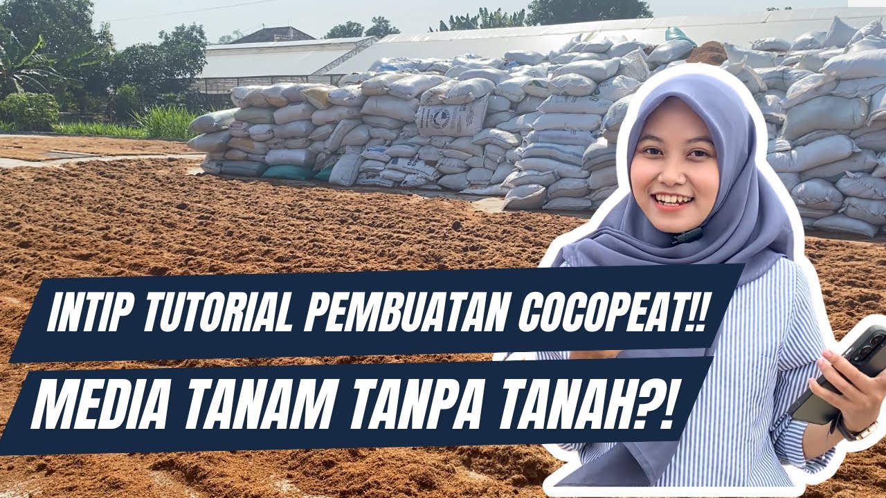 INTIP TUTORIAL PEMBUATAN COCOPEAT!! MEDIA TANAM TANPA TANAH?!