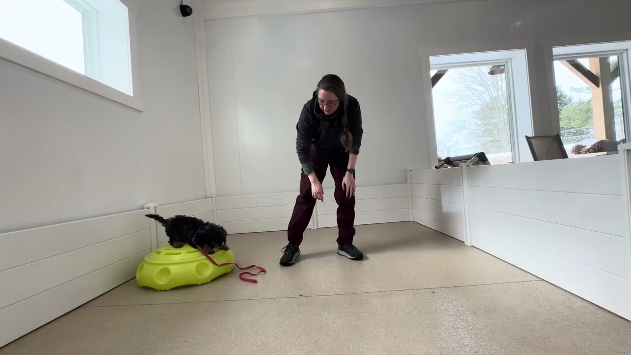 Stack Leash Skills 02/02