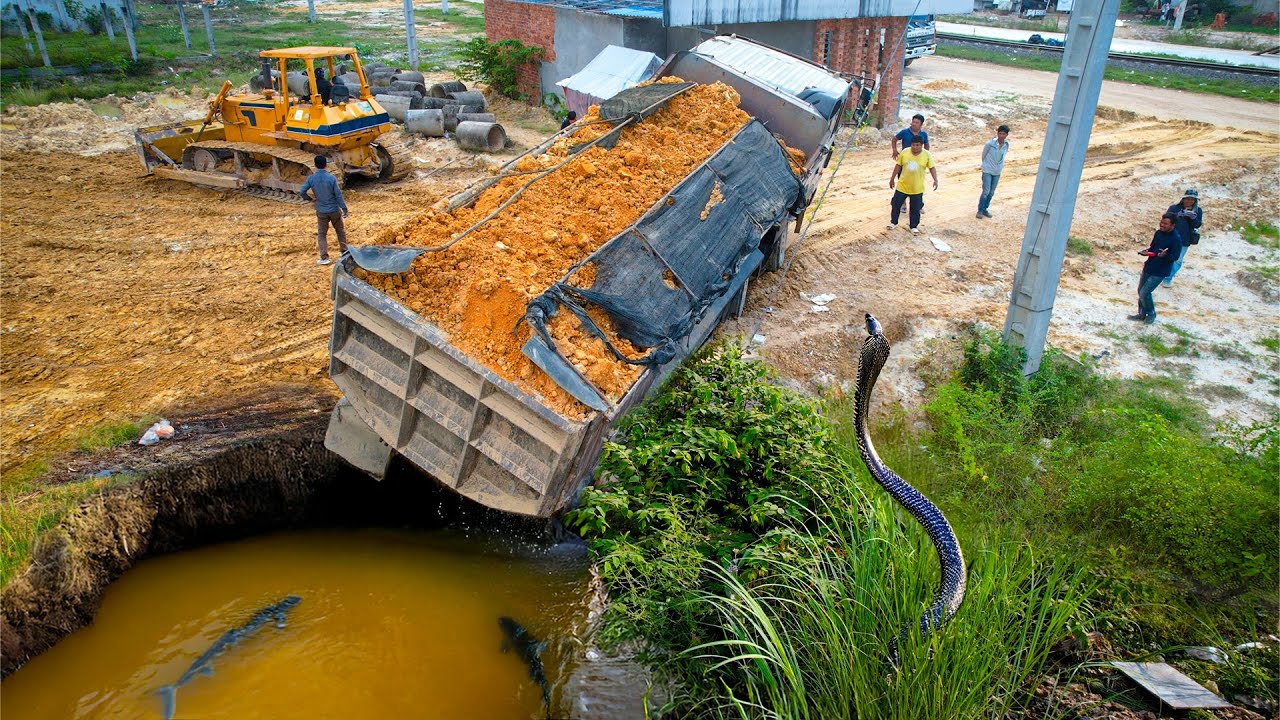 Landfill Incredible! Heavy Dump Truck Back Uploading Overturned Into Water Help by Dozer & Excavator