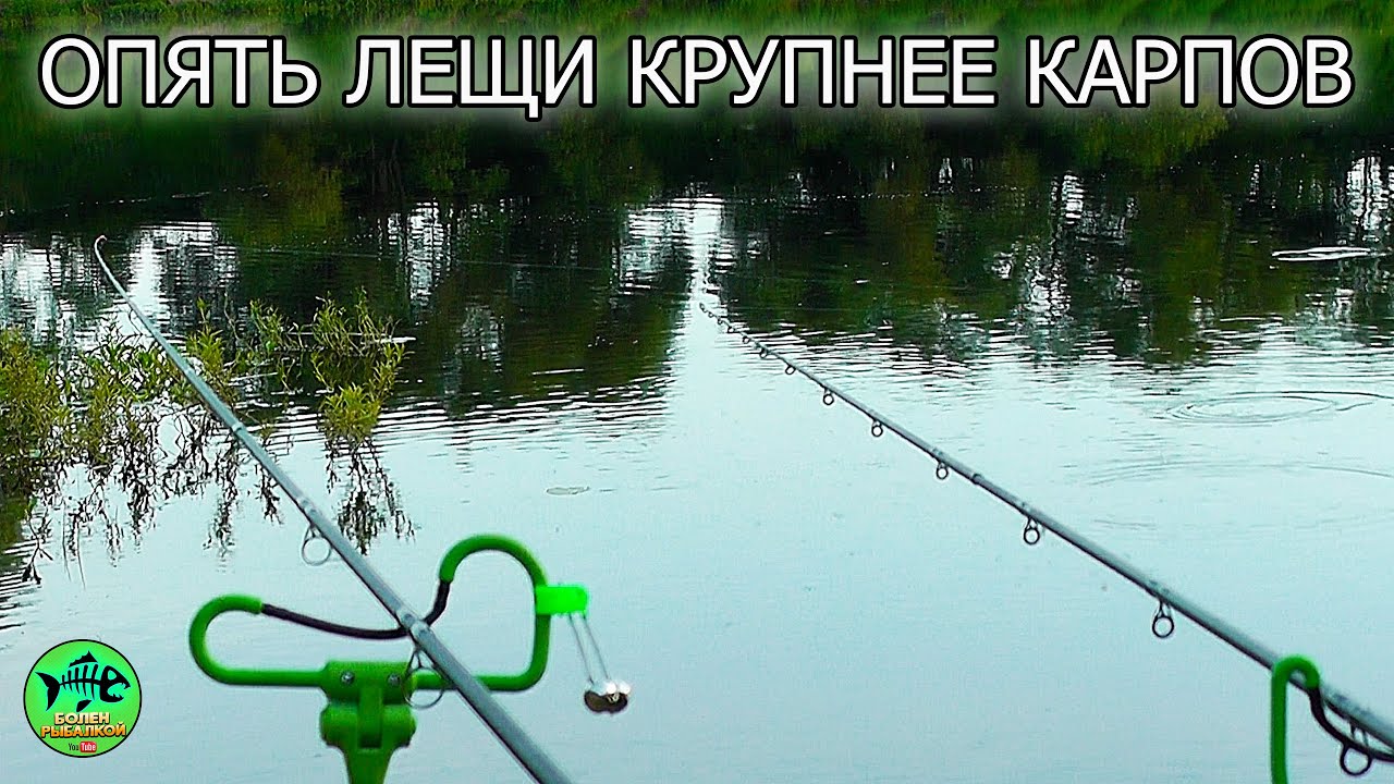 НЕОЖИДАННЫЙ УЛОВ на РЕКЕ — СМОТРИТЕ САМИ! МОЩНЫЕ ПОКЛЕВКИ ЛЕЩА. Рыбалка на фидер.