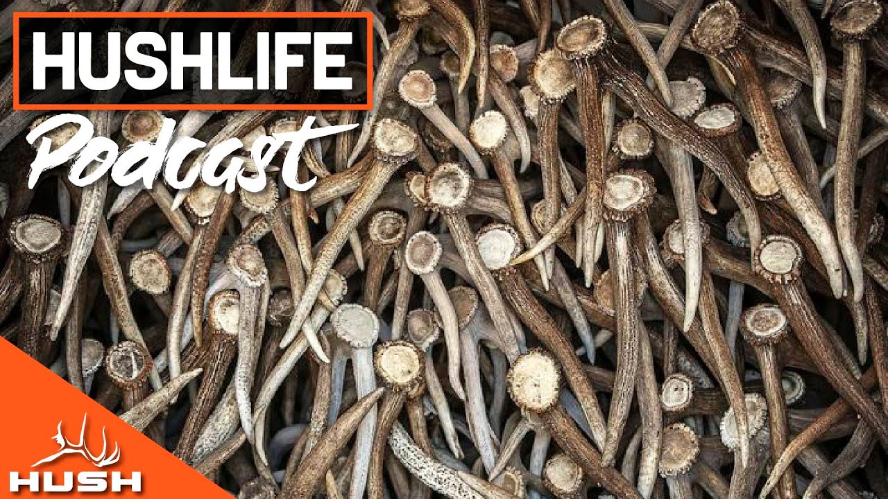 SHED HUNTING 101- EP02 | HUSHLIFE PODCAST