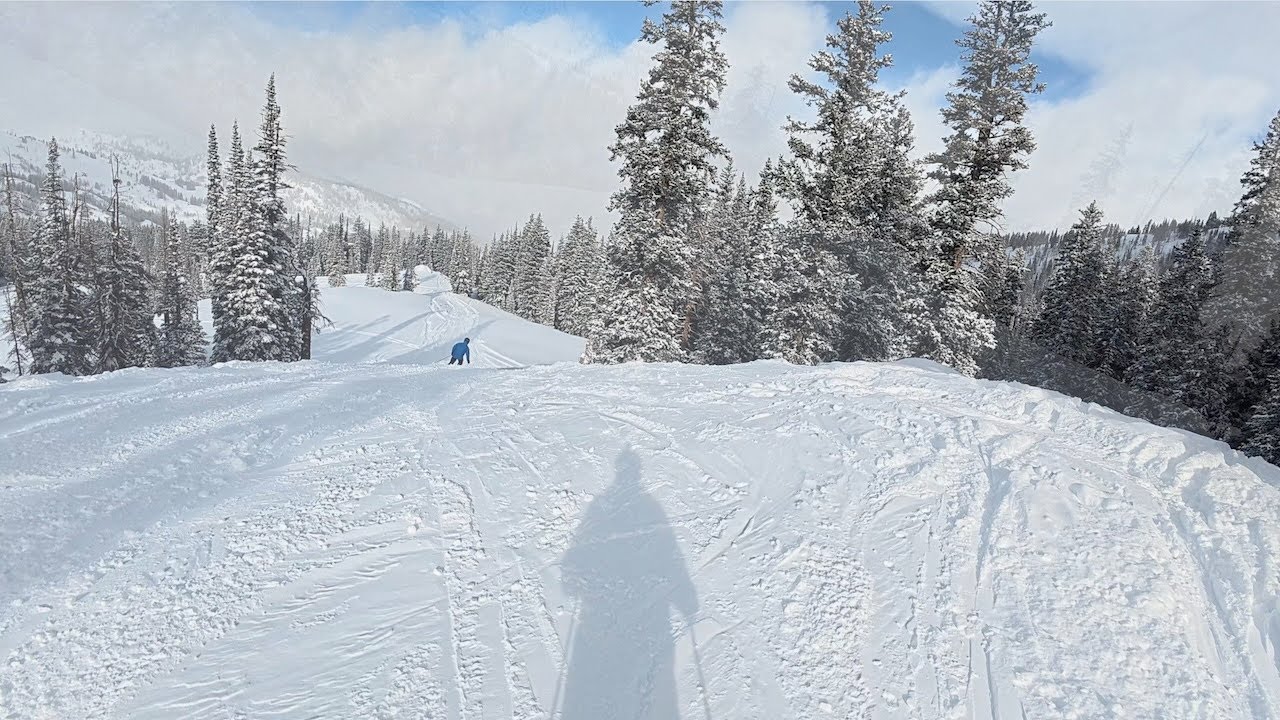 Brighton Sunny Pioneer and Pine Martin #brighton #wasatch #skiing #powder