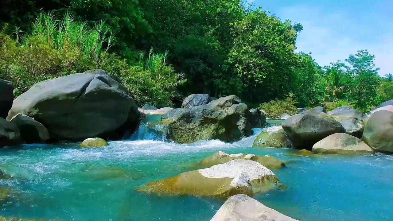 Serene River Sounds | Peaceful Flowing Water White Noise for Focus