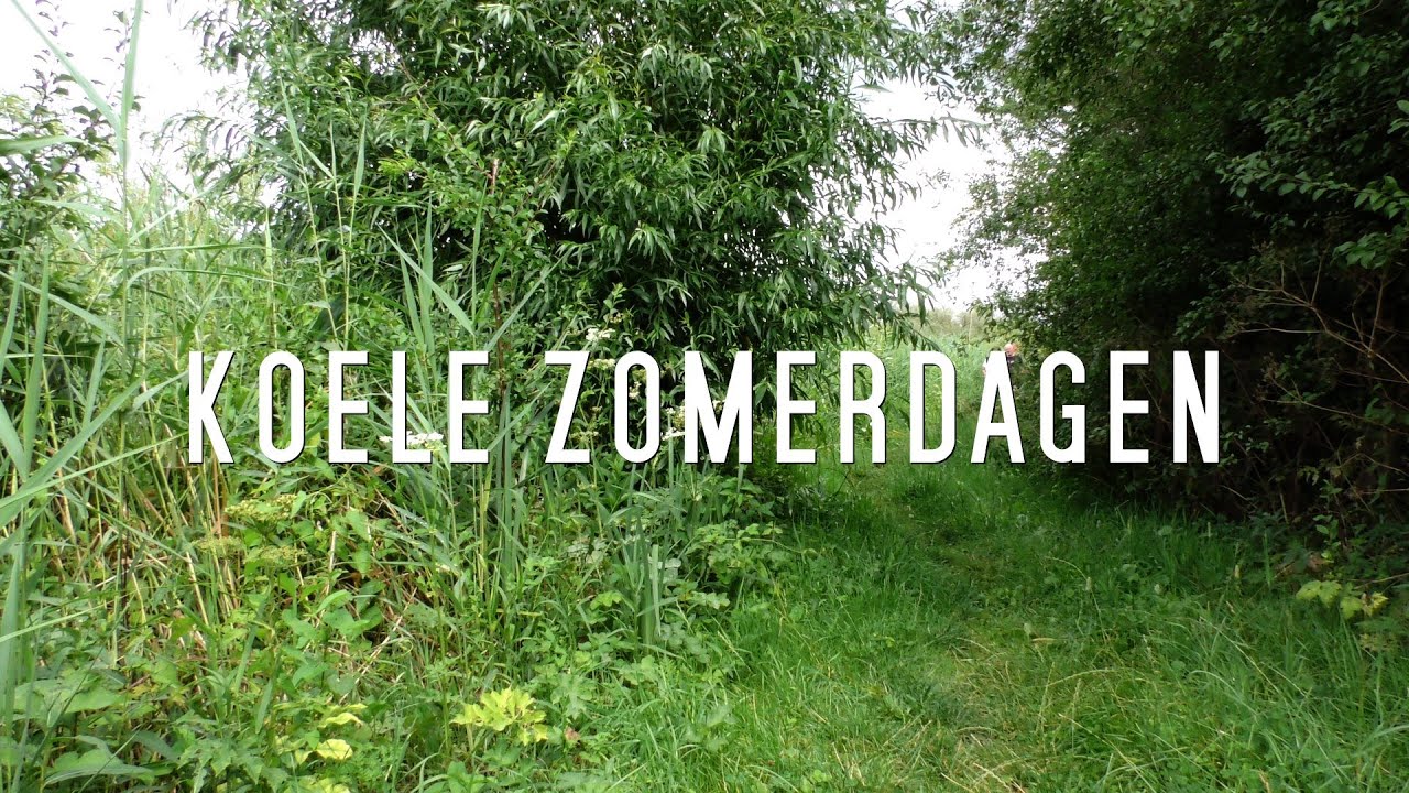 Koele zomerdagen (Cool summer days)