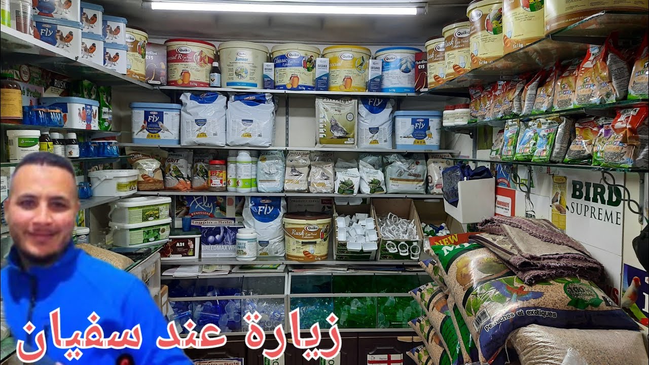 سوق العيون (القريعة)🇲🇦 تعرف على أتمنة جميع أنواع المكملات جميع أنواع الباطي جميع أنواع #سوق_القريعة