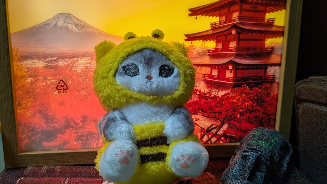 ハチニャン🐝😼とクラゲちゃん🪼のコラボ寝配信