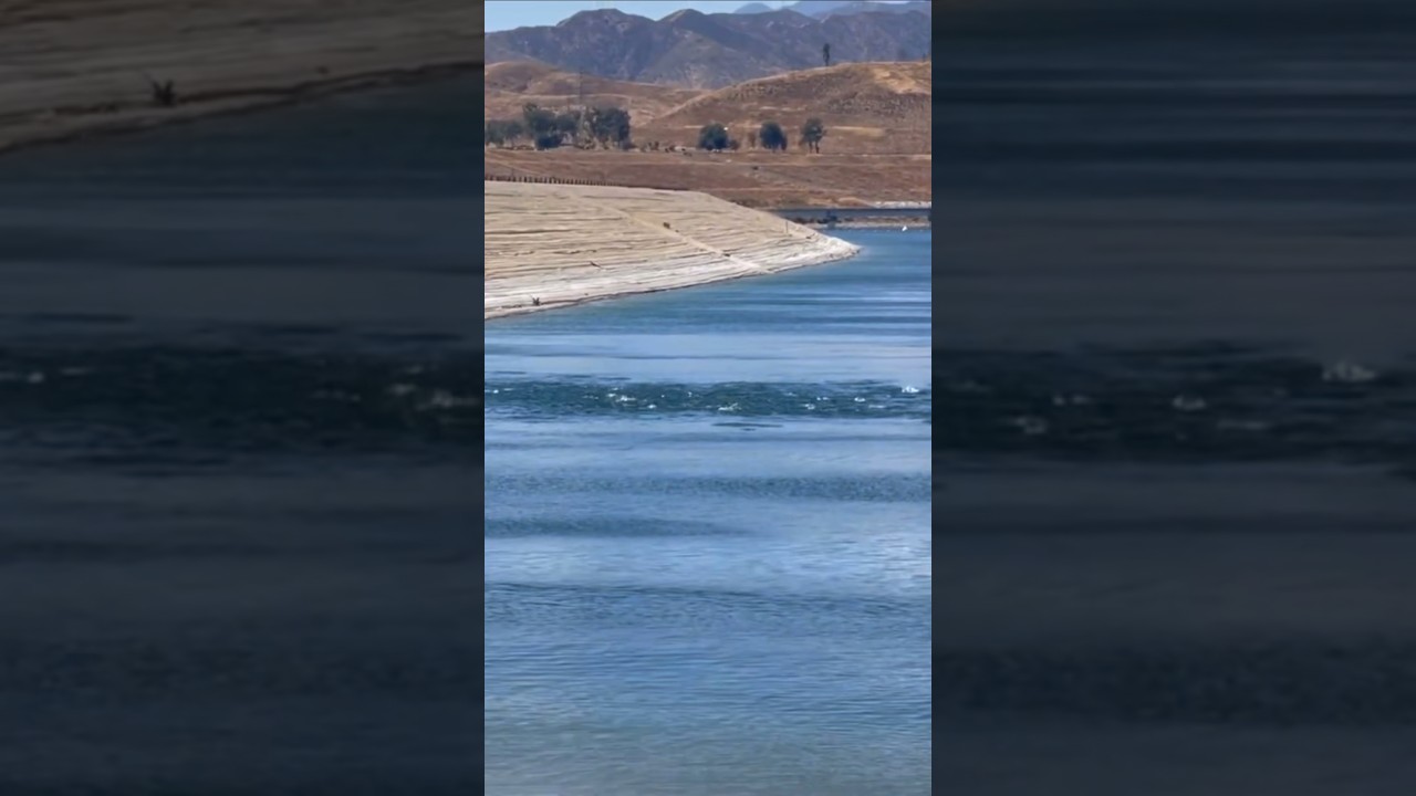 MASSIVE STRIPER BLITZ!