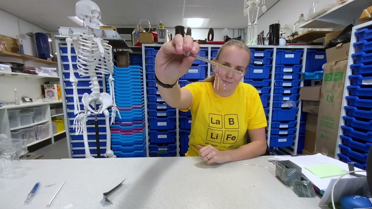 Bleeding Hearts Experiment | LaBLiFe