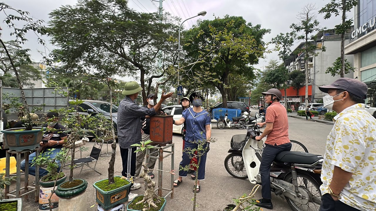 TO&Agrave;N D&Acirc;N M&Ecirc; MUỘI CHỈ C&Oacute; D&Acirc;N BU&Ocirc;N L&Agrave; TỈNH T&Aacute;O - B&Aacute;O GI&Aacute; C&Acirc;Y MỚI CỦA &Ocirc;NG TỴ, GI&Agrave; LẮM