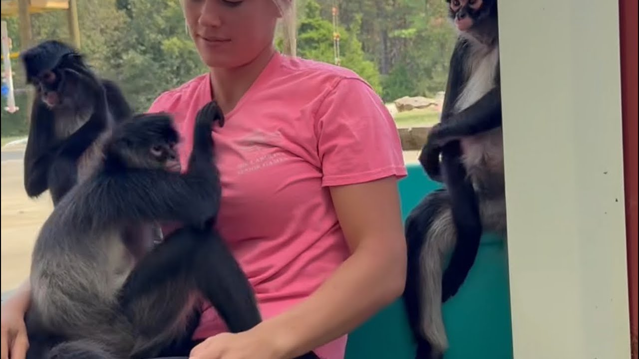First time meeting her own kind ! Experiencing life on the farm 
