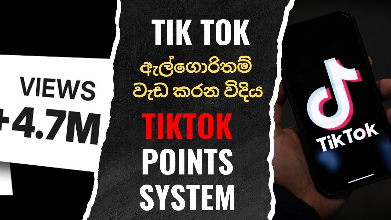 TikTok Algorithm වැඩ කරන විදිය 🚀 TikTok Point System