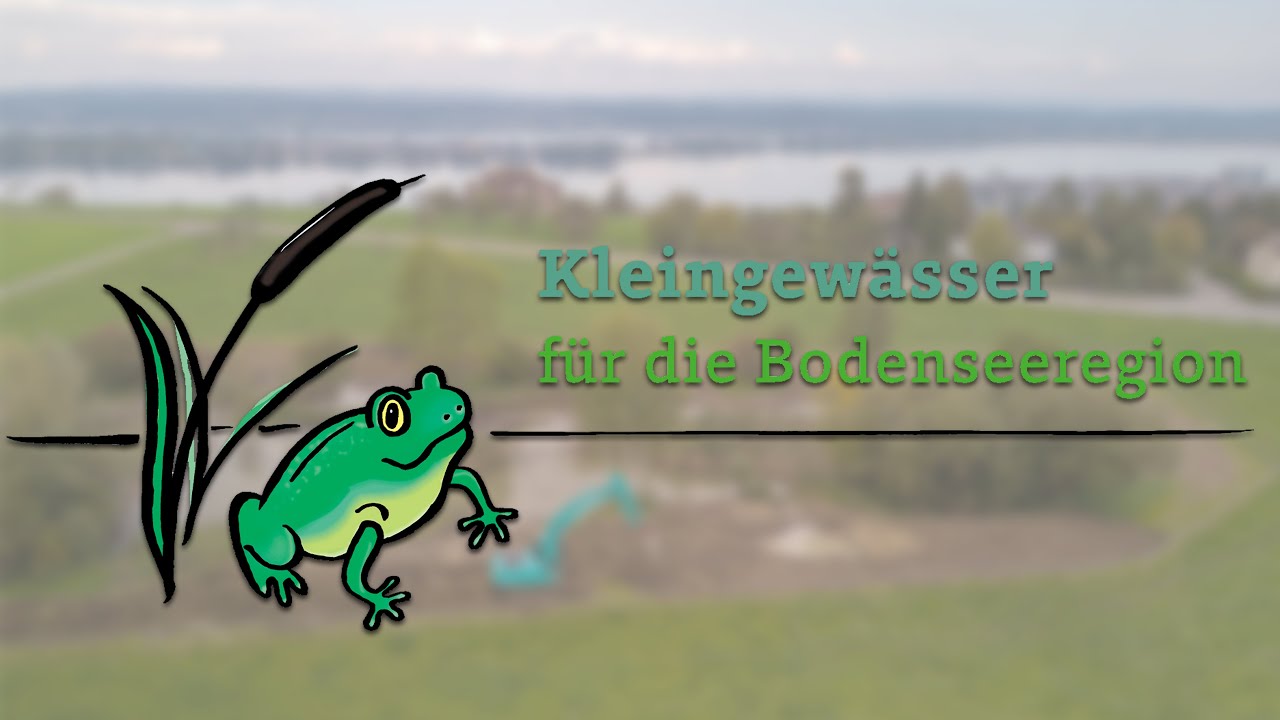 Kleingew&auml;sser f&uuml;r die Bodenseeregion - Netzwerk f&uuml;r Artenvielfalt und Umweltbildung