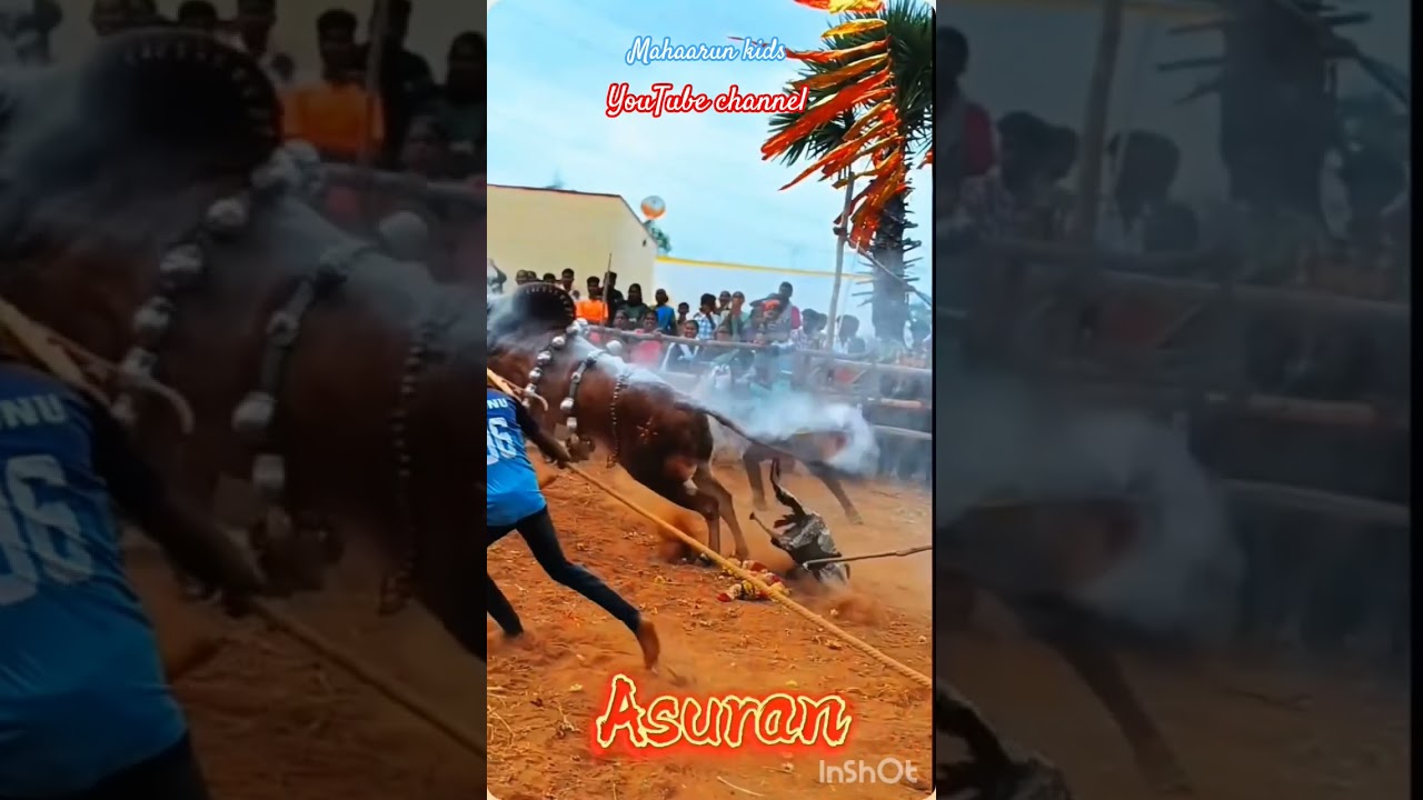 Asuran kaalai அதிரடி ஆட்டம்