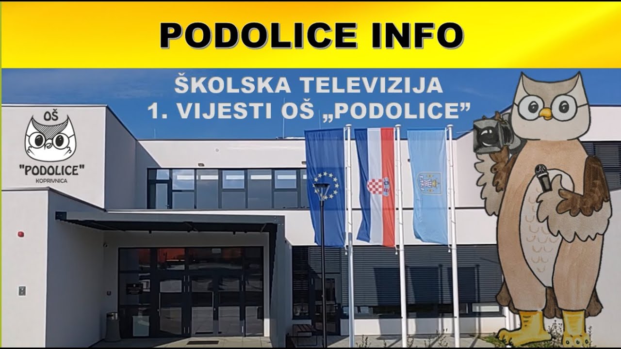 Školska televizija 