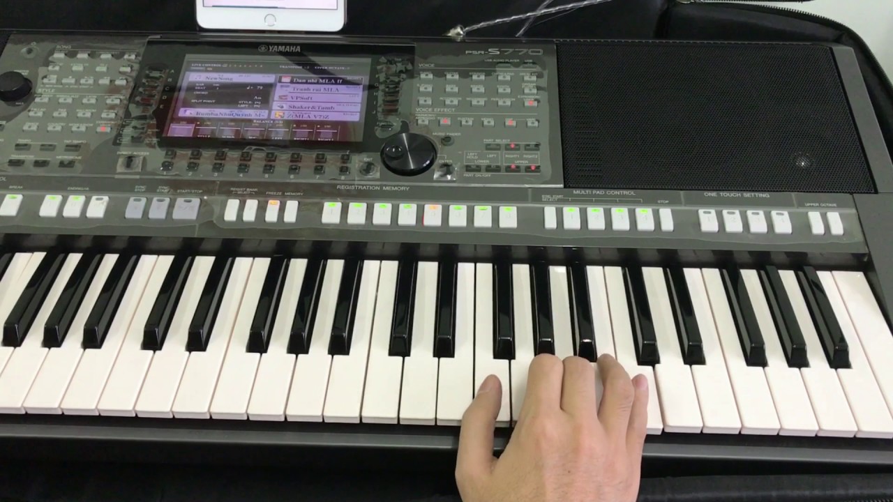 Chuyện Hoa Sim - Organ Hòa Tấu ( Tone Nam )