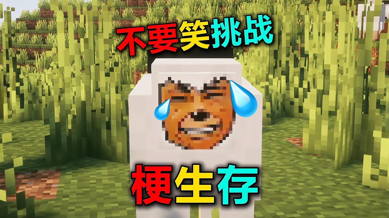 熱梗到底是什么？讓我們一起深入探索這個充滿滑稽的世界 #我的世界 #MC #游戏 #生存 #游戏解说