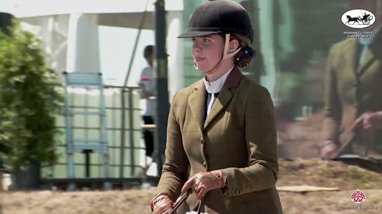 Arabian Futurity Europe 2022 (1st Run) Hunter Pleasure Master - All Ages (Class 1A)