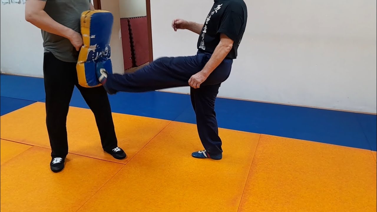 Прямой удар ногой Мая-гири (фронт-кик) / Mae-geri &mdash; front kick (straight kick)