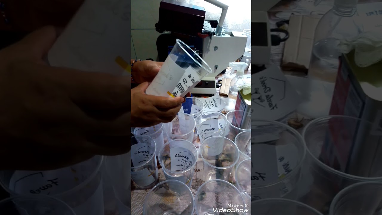 Como Fazer Copos PP Personalizado de 700 ml